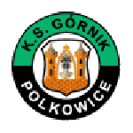 Górnik Polkowice logo